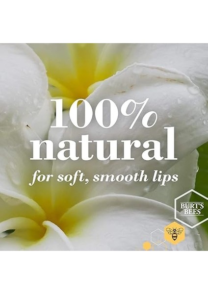 Bees Dudak Bakım Kremi indirimleri