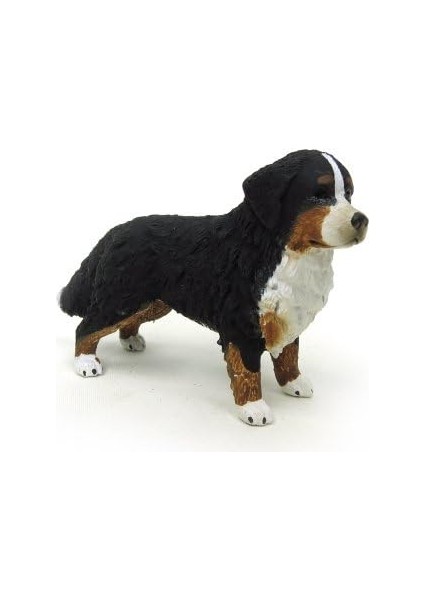 World-Dişi Bernese modelleri