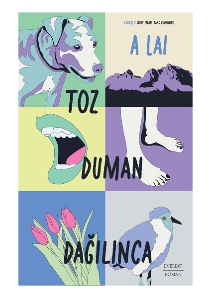 Toz Duman Dağılınca