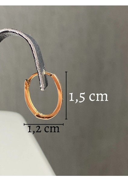 14 Ayar Altın Orta Boy Oval Küpe fiyatları