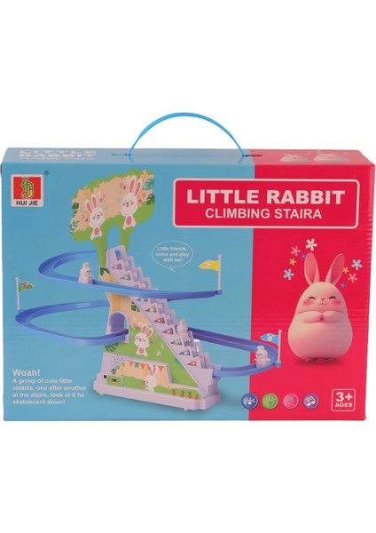 Bfs 987-26 Kut Tavşan