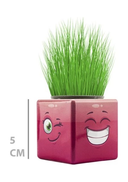 Çim Adam Mini Küp Emoji Figürlü 1 Adet modelleri