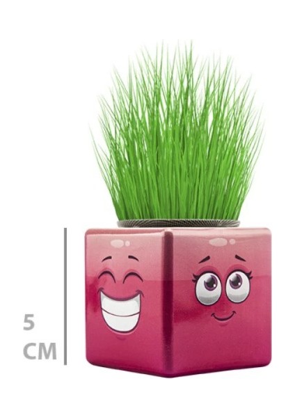 Çim Adam Mini Küp Emoji Figürlü 1 Adet fırsatları