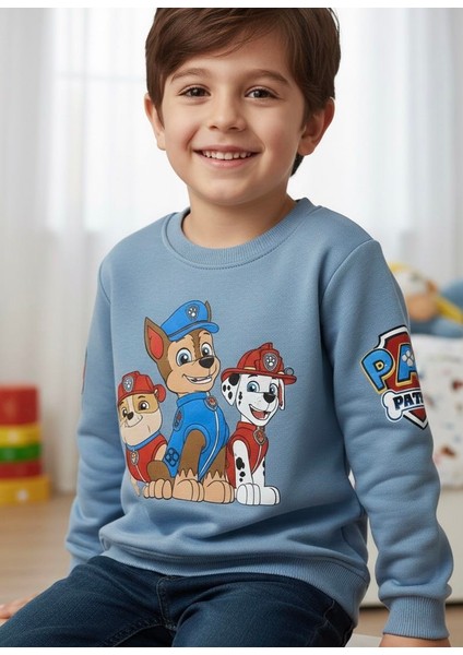 Çizgi Film Karakter Baskılı Şardonlu Erkek Çoçuk Sweatshirt fiyatları