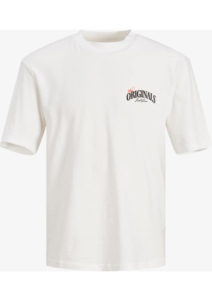 Beyaz Erkek T-Shirt 12234293