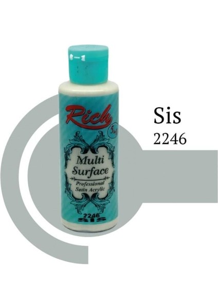 Rich Multi Surface 2246 Sis Akrilik Boya 120 cc