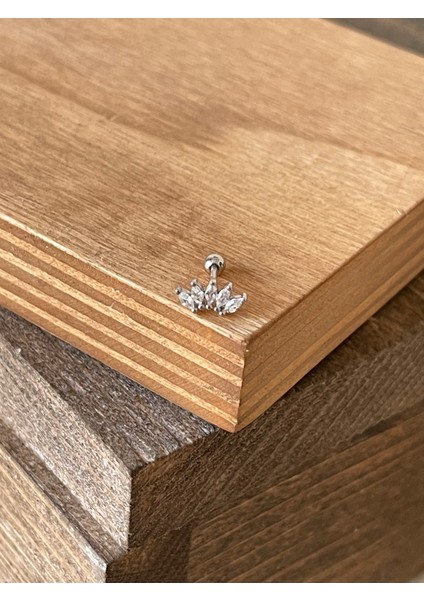 925 Ayar Gümüşi Taç Kıkırdak Helix Tragus Piercingi Gümüş Piercing