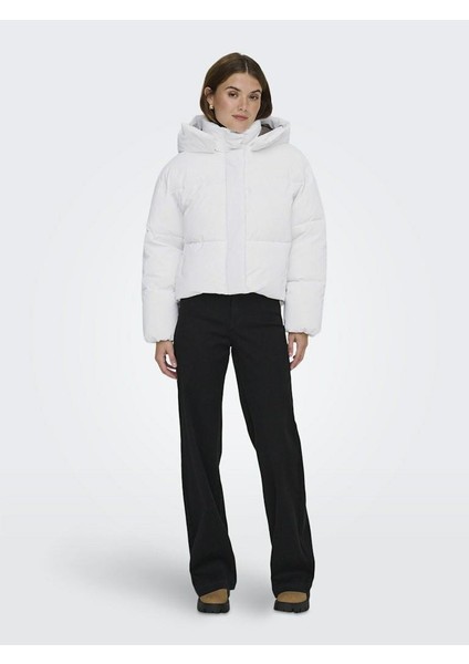 Dıxıe Lıfe Puffer Kadın Ceket 15349122