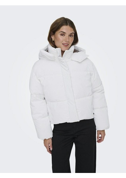 Dıxıe Lıfe Puffer Kadın Ceket 15349122 fiyatları