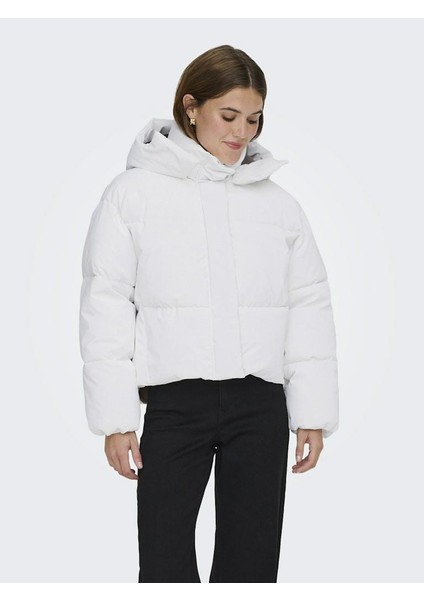 Dıxıe Lıfe Puffer Kadın Ceket 15349122 fırsatları