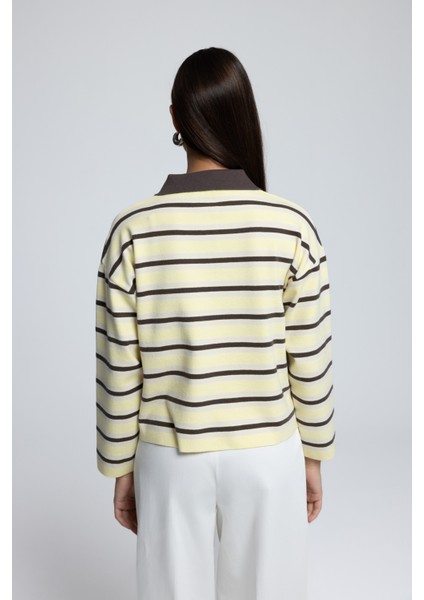 Moss Çizgili Sarı Polo Yaka Triko Kazak indirimleri