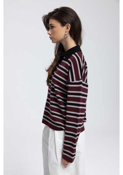 Moss Çizgili Bordo Polo Yaka Triko Kazak fırsatları