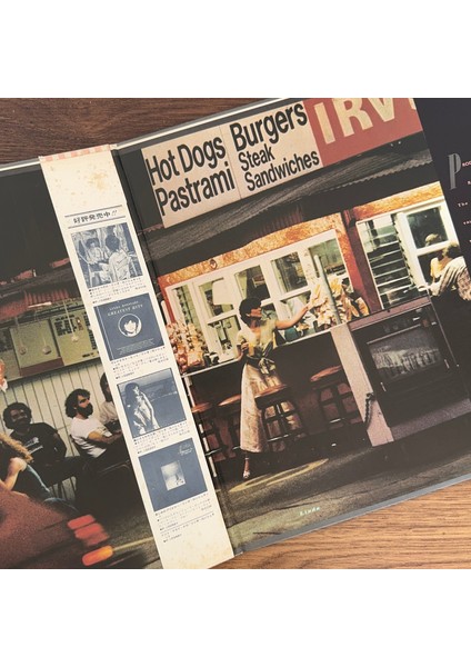 Linda Ronstadt – Living In The Usa modelleri