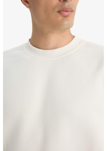 Relax Fit Bisiklet Yaka Polar Sweatshirt F3685AX25WN indirimleri