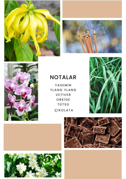 Ixora K377 Velvet Edp Kadın Parfüm 50 ml fiyatları