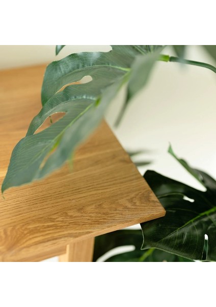 Riga Masif Ahşap Basic Model Dresuar modelleri