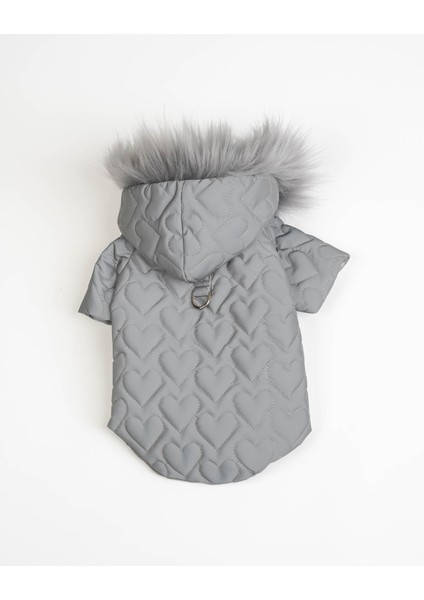 Köpek Kedi Heart Luxe Mont fırsatları