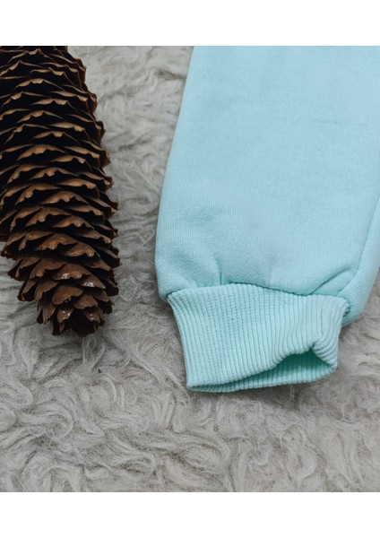 Şardonlu Üç Iplik Eşofman Altı fiyatları