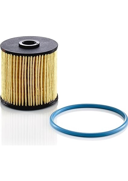 Yakıt Filtresi Pu 7010 Z (Peugeot-Citroen) fiyatları