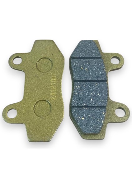 Grace 202 Arka Disk Balata Oem