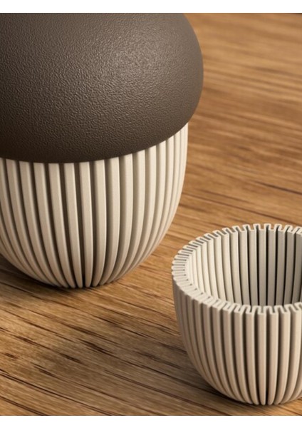 Dekoratif Meşe Palamutu Biblosu modelleri