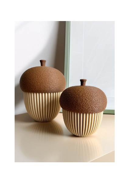 Dekoratif Meşe Palamutu Biblosu