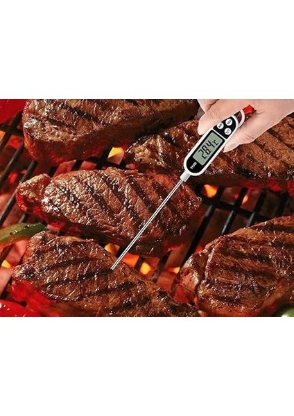 Çubuk Termometre Sıvı Gıda Et Su Yiyecek Sıcaklık Ölçer Mutfak TP300 fırsatları
