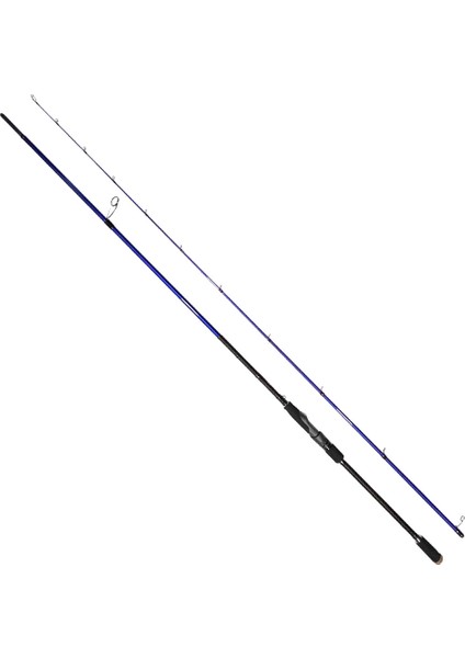 Risco 290 cm 30-70 gr Shore Jig Kamışı