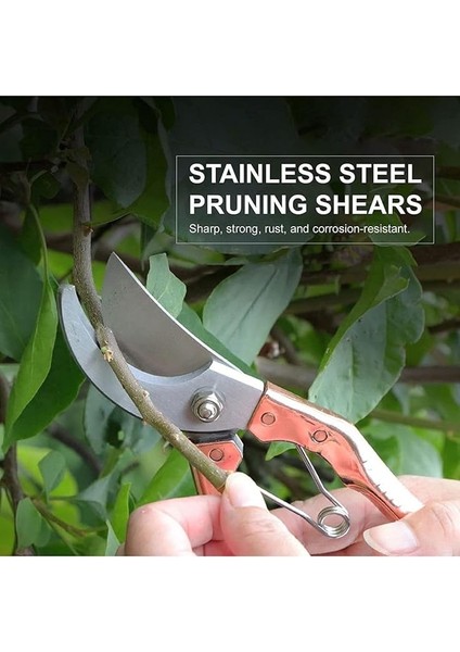 Bahçe Budama Makası Agaç Dal Kesim Testeresi 3 Parçalı Bitki Ağaç Kesim Düzenleme indirimleri