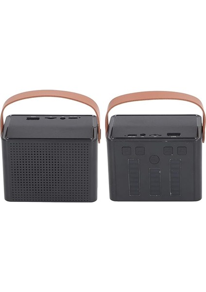 Hoparlör -Set, LED Rgb Lıght -Rausch Rausch Lausch Ausch Arausch Muting Hizmetkar Heal (Çift Mikrofon) modelleri