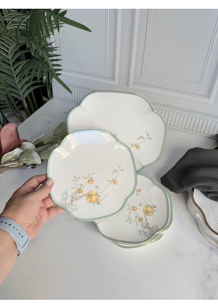 Peachy Pasta Tabak 7'li fırsatları