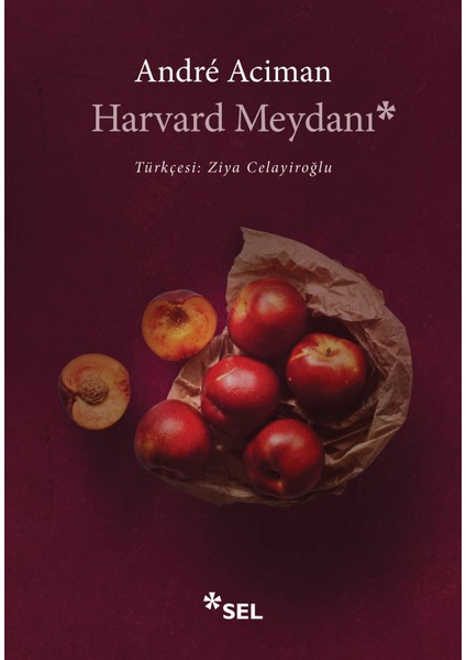 Harvard Meydanı