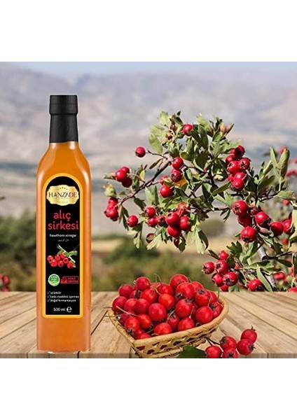 Hanzade Bitkisel Elma + Alıç Sirkesi 500 ml 2&apos;li Set Doğal Fermantasyon Içilebilir Katkısız Cam Şişe modelleri