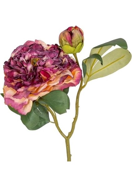 Gül Tomurcuklu Mor 50 Cm. fiyatları