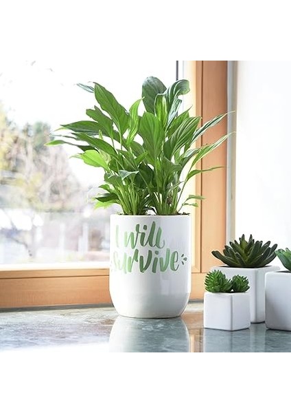 Posca Markör Kalem 5m 30'lu Set 1.8-2.5 mm Keçe Uçlu indirimleri