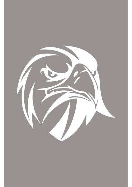 Kızgın Bakışlı Kartal Araba, Motorsiklet, Kask, Laptop, Cam Sticker 13X12 cm