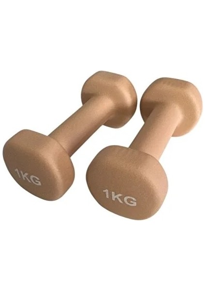 Vinly Neoprene Kaplamalı Döküm Demir Dambıl Estetik Soft Pilates Fitness Ağırlığı 2 Adet x 1 kg fırsatları