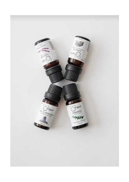 Organik Uçucu Yağ Seti: Lavanta, Biberiye, Lavanta/portakal/sedir, Biberiye/portakal/sedir, 10 ml modelleri