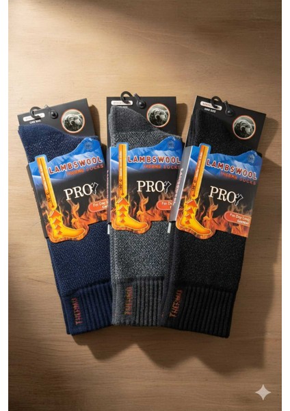 Havlu Lambswool (Yün) Thermal Erkek Çorap, Asorti , 3'lü Paket