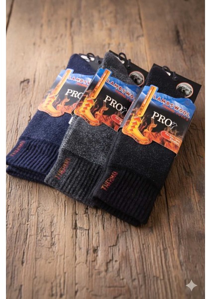 Havlu Lambswool (Yün) Thermal Erkek Çorap, Asorti , 3'lü Paket fiyatları
