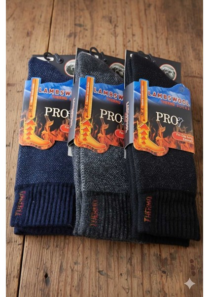 Havlu Lambswool (Yün) Thermal Erkek Çorap, Asorti , 3'lü Paket modelleri