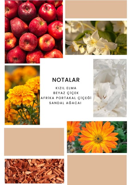 Ixora K326 Orange Edp Kadın Parfüm 100 ml fiyatları