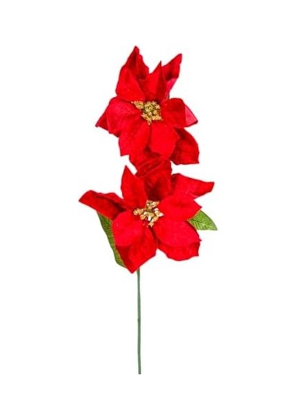 Yılbaşı Çiçeği Puansetya 2 Çiçekli Kırmızı 75 Cm. fiyatları