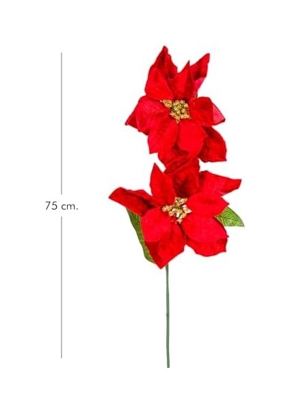 Yılbaşı Çiçeği Puansetya 2 Çiçekli Kırmızı 75 Cm. modelleri