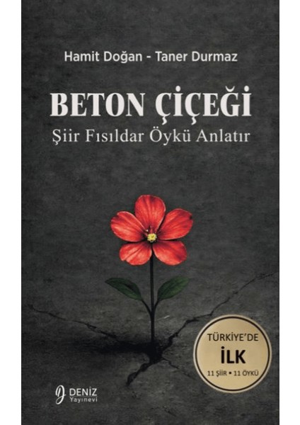 Beton Çiçeği