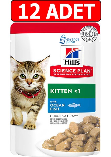 Hills Kitten Yavru Kedi Konserve 85GR 12ADET Ocean Fish Chunks Gravy Balıklı Kedi Yaş Maması Pouch