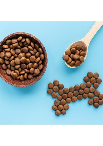 Wise Dog Lamb Rice Kuzu Etli Yetişkin Köpek Maması 1 Kğ