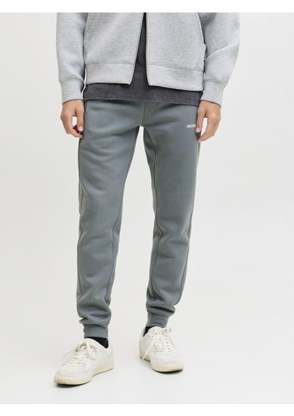 Jack Jones Godon Thatcher Regular Fit Erkek Eşofman Altı 12279102 modelleri