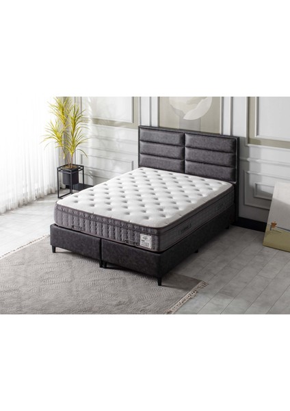 Diana Başlık Antrasit 90 cm modelleri