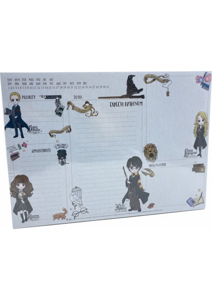 Harry Potter Premıum Set